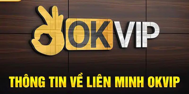 Review OKVIP qua hoạt động dịch vụ nổi bật